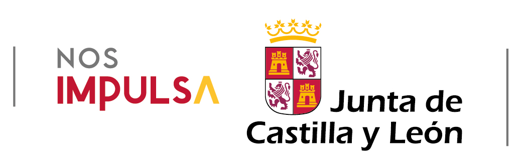 junta de castilla y leon