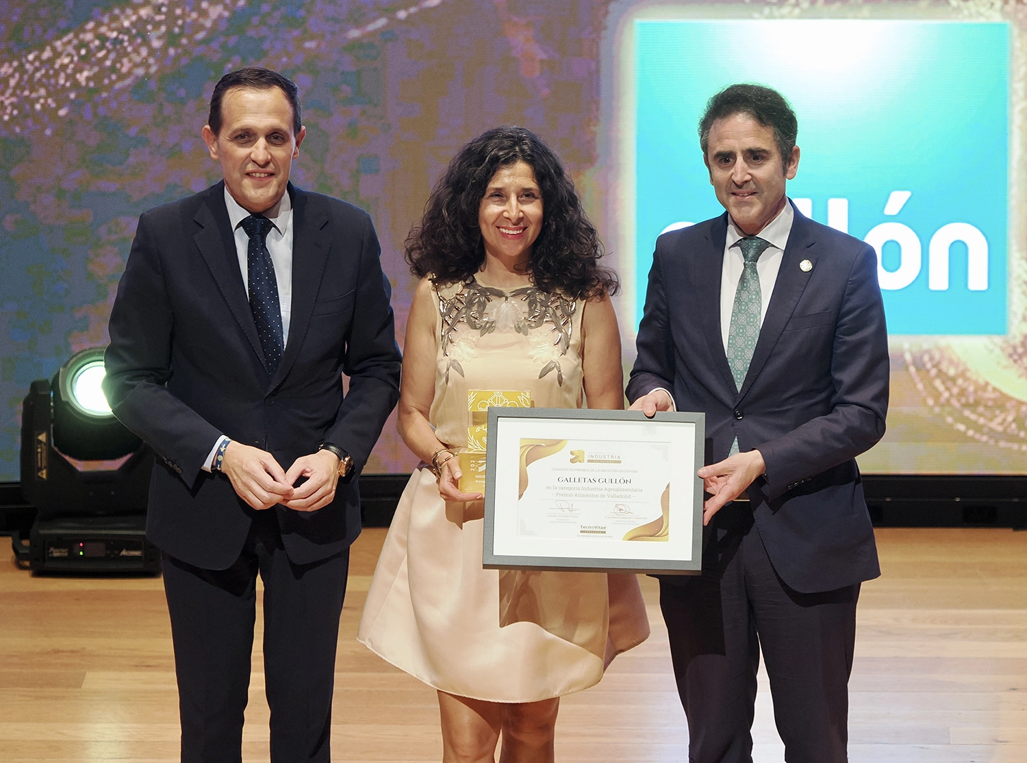 viii-premios-industria-espana-gala-043