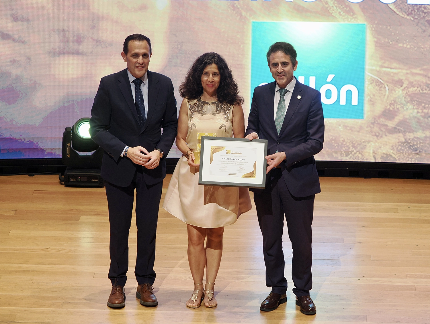 viii-premios-industria-espana-gala-046