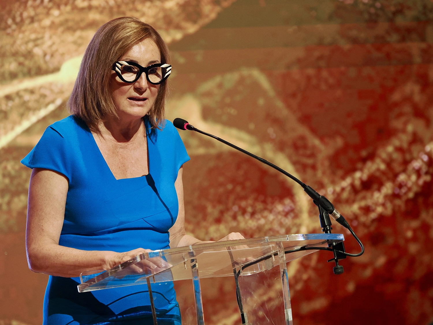 viii-premios-industria-espana-gala-070