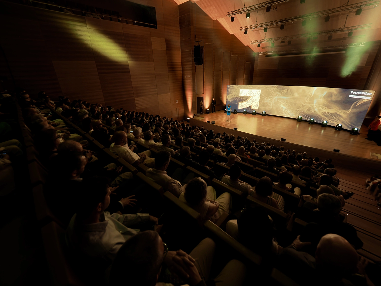 viii-premios-industria-espana-gala-076