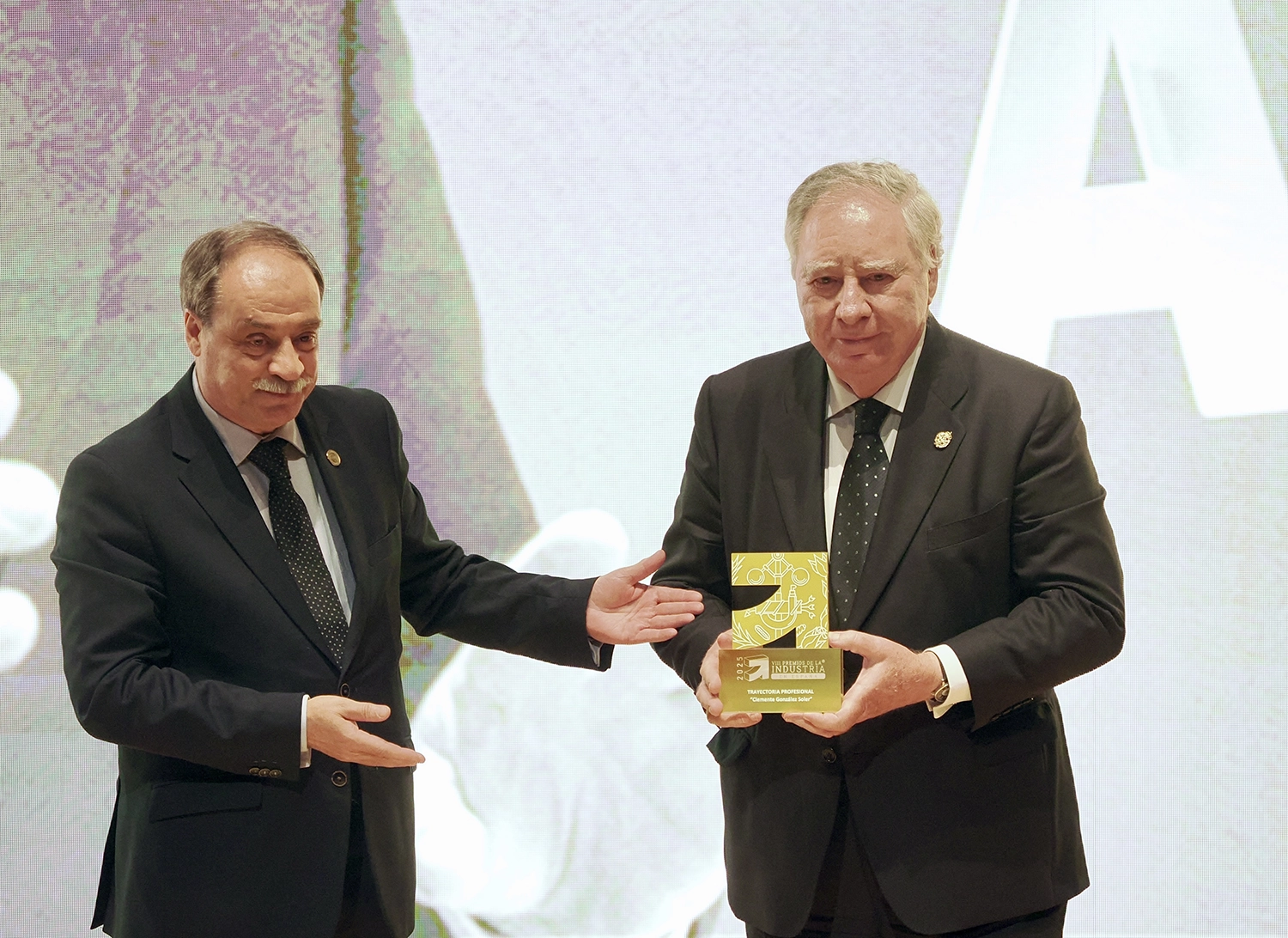 viii-premios-industria-espana-gala-080