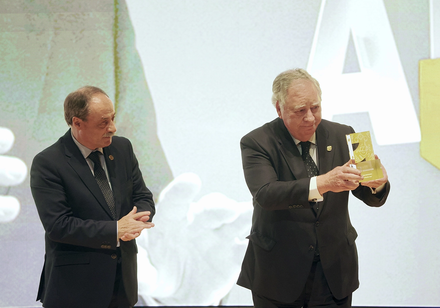 viii-premios-industria-espana-gala-081