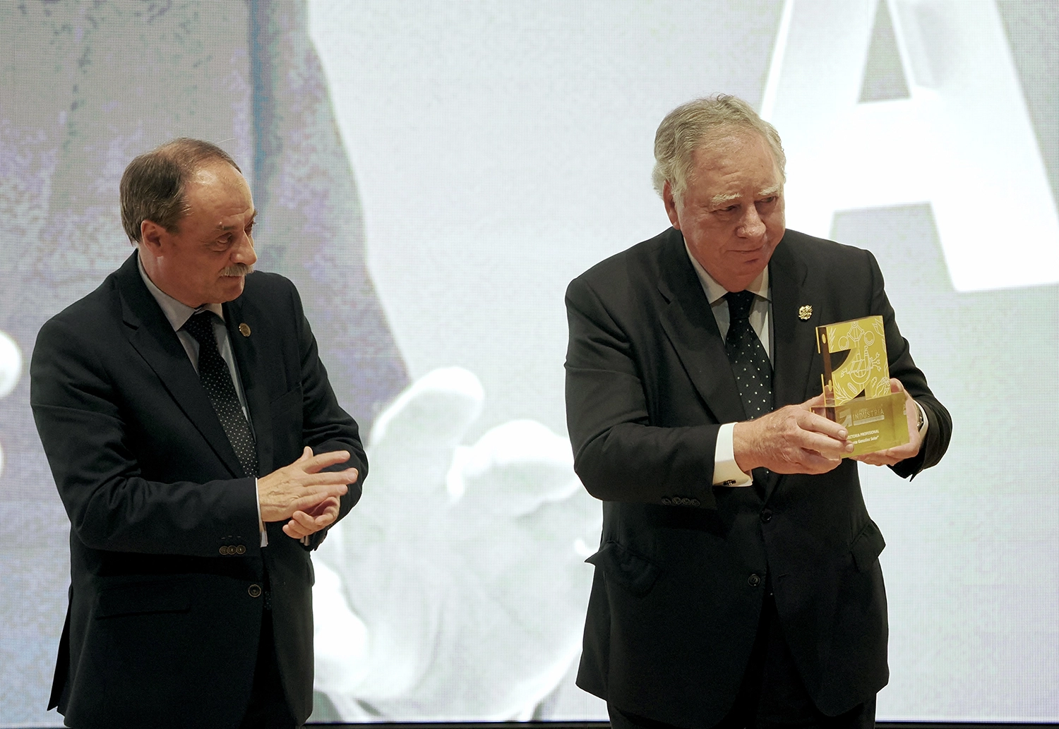 viii-premios-industria-espana-gala-082