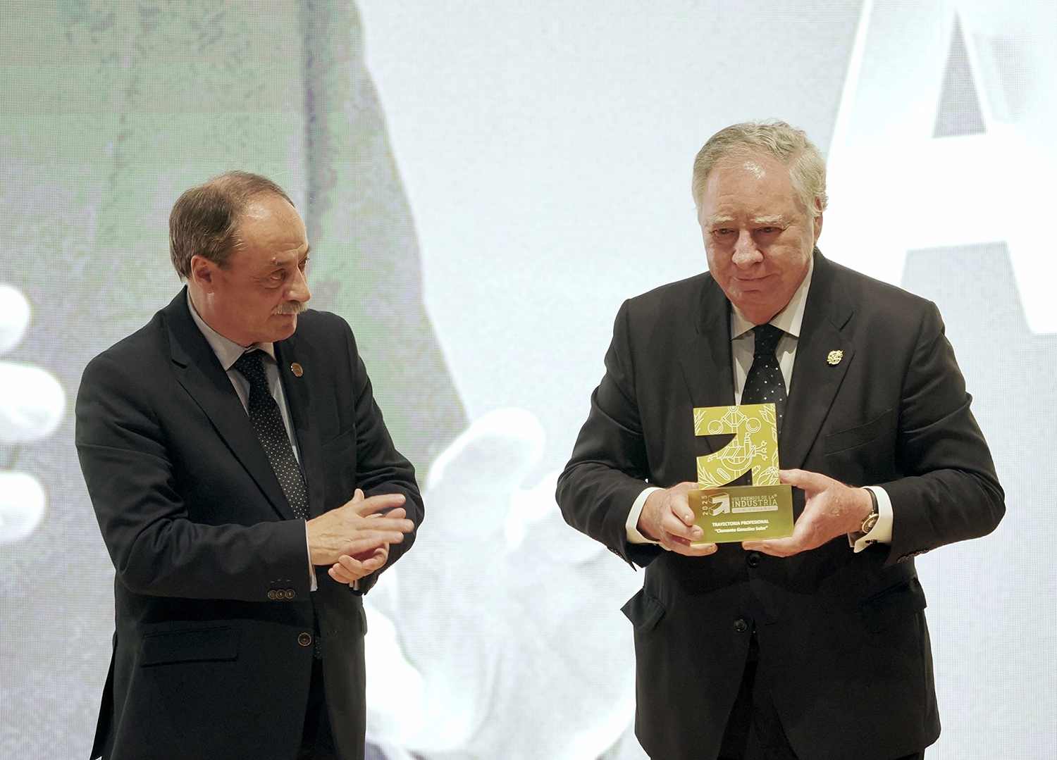 viii-premios-industria-espana-gala-083