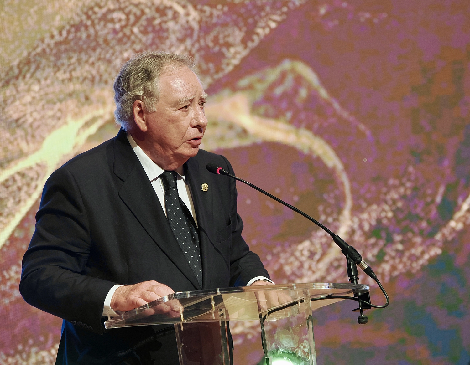 viii-premios-industria-espana-gala-086