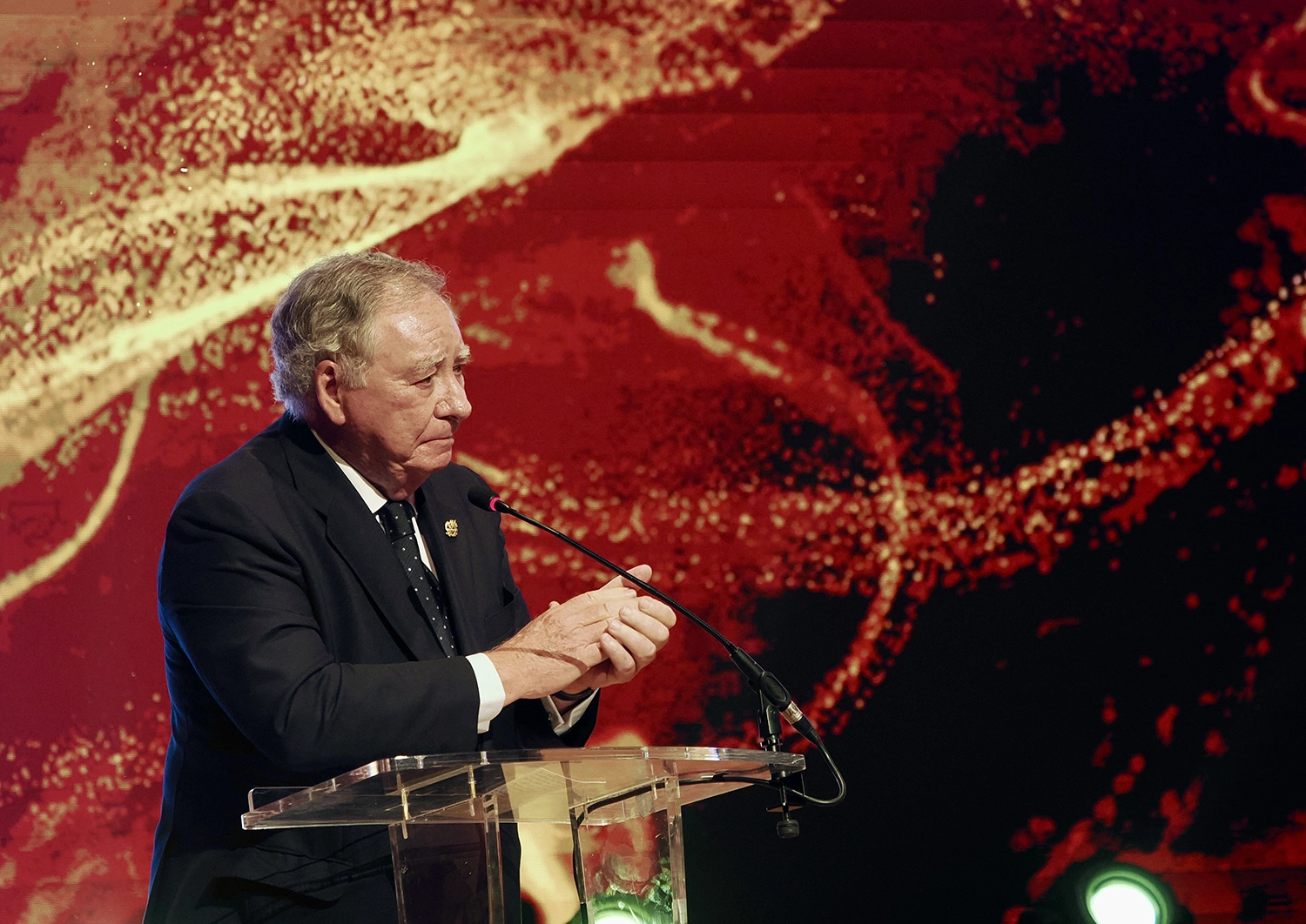 viii-premios-industria-espana-gala-089