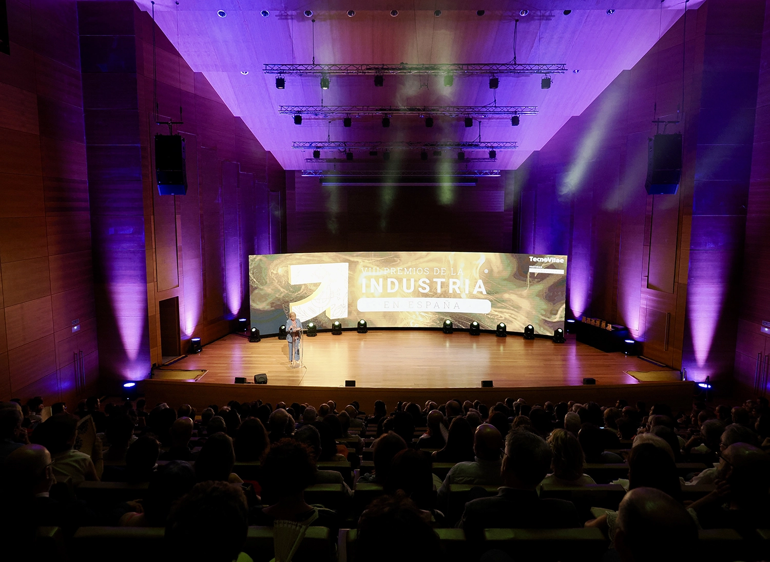 viii-premios-industria-espana-gala-093