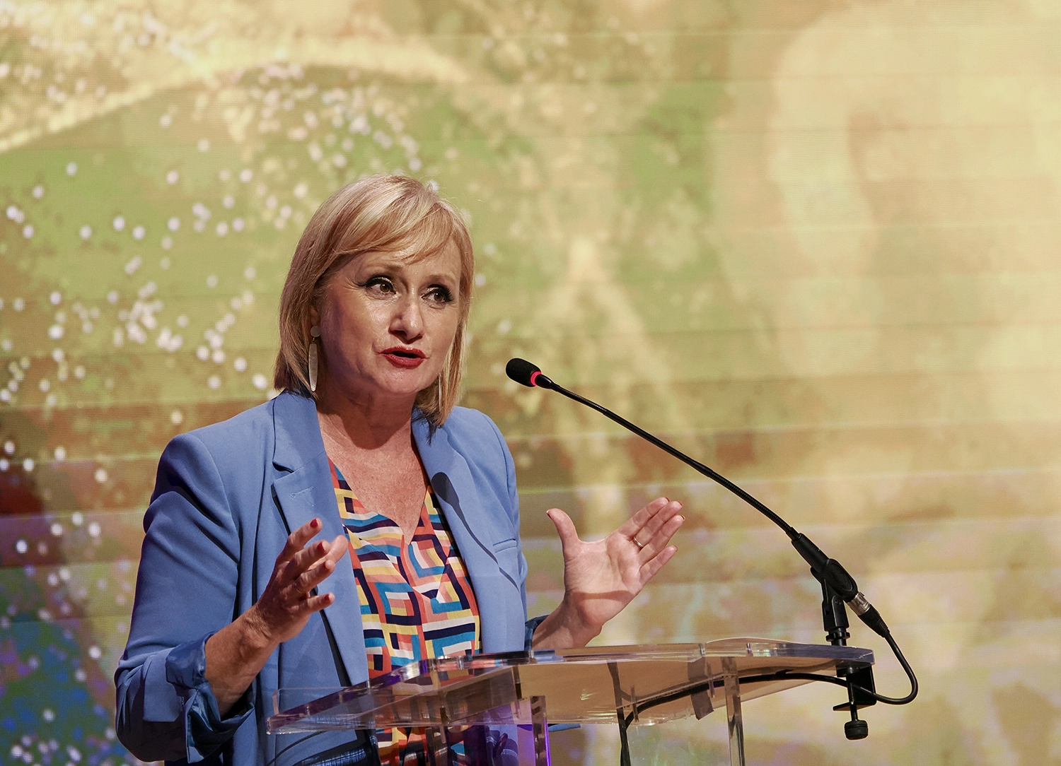 viii-premios-industria-espana-gala-095