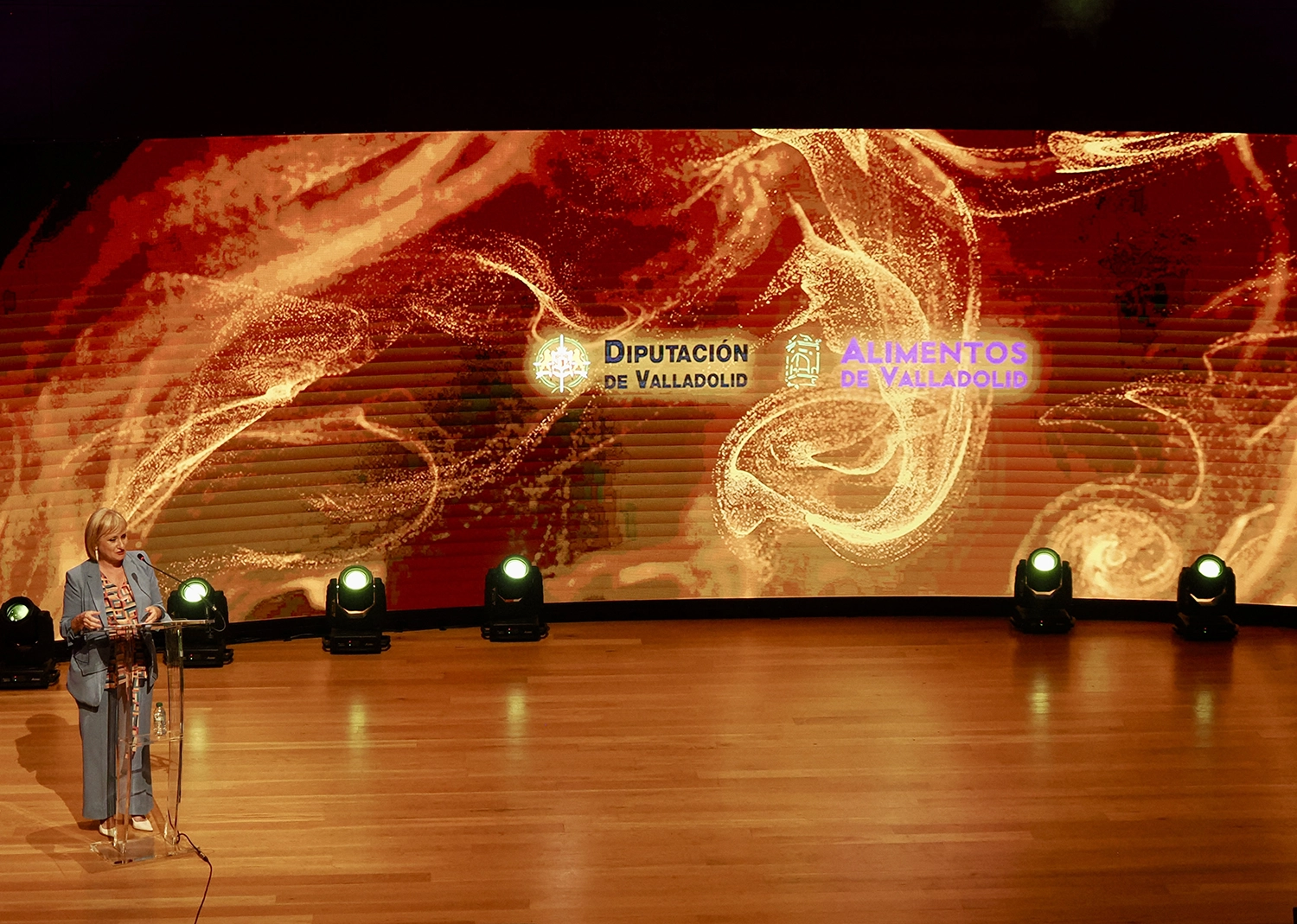 viii-premios-industria-espana-gala-101